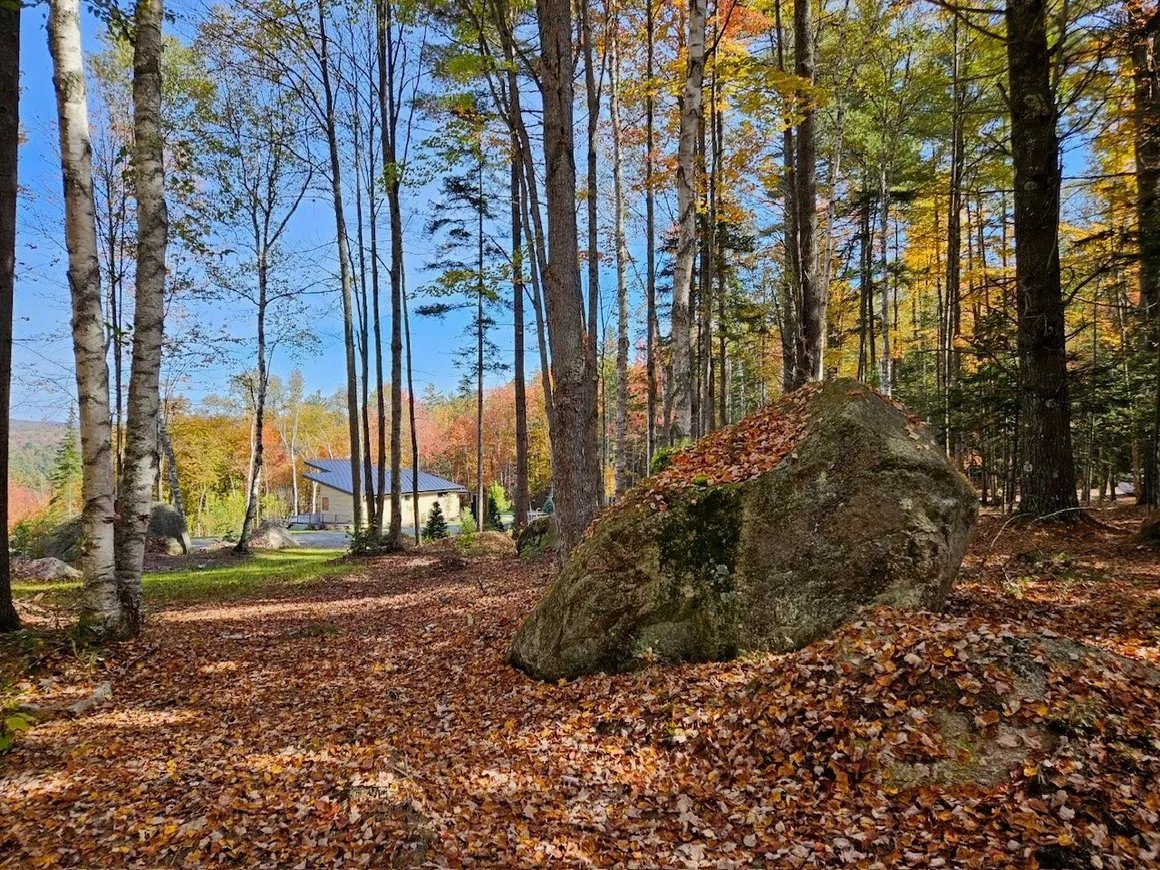 Birch House photo 24